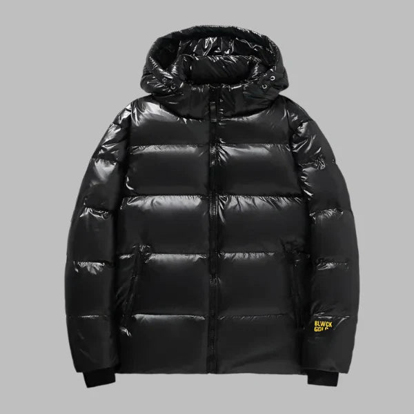 Men’s Down Jacket – Regular Fit – Hooded – Water-Resistant – Zip Closure – Quilted