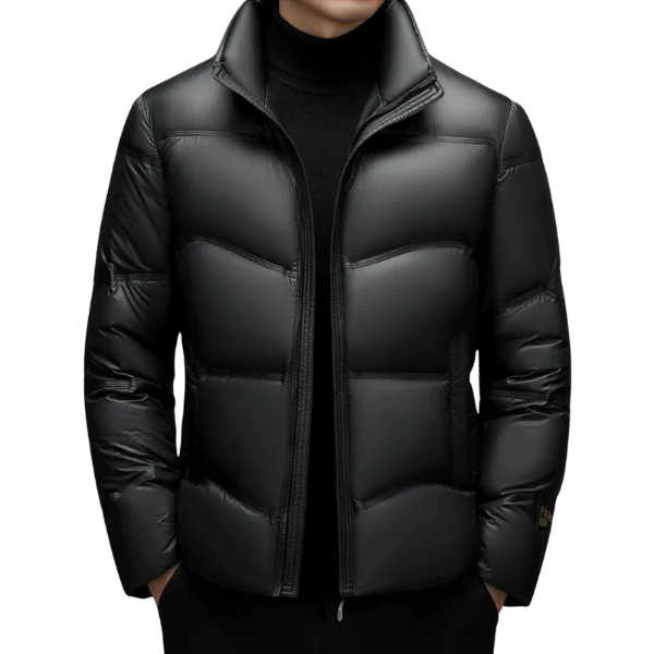 Men’s Down Jacket – Quilted – Structured Fit – High Collar – Wind-Resistant – Hip Length